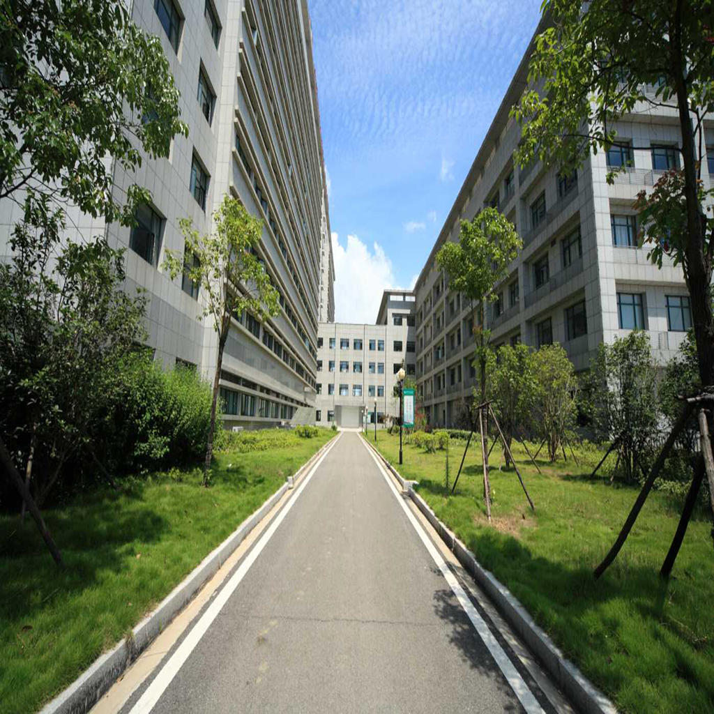 汉川市人民医院/武汉大学人民医院汉川医院 医院消毒粉采购项目院内采购公告